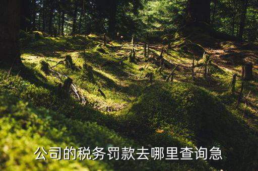如何查稅收違法記錄，公司的稅務(wù)罰款去哪里查詢急