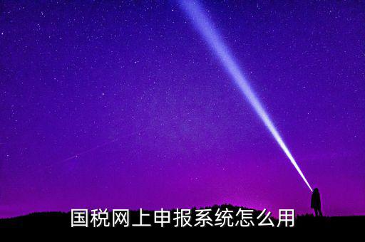國稅網(wǎng)上申報(bào)系統(tǒng)怎么用