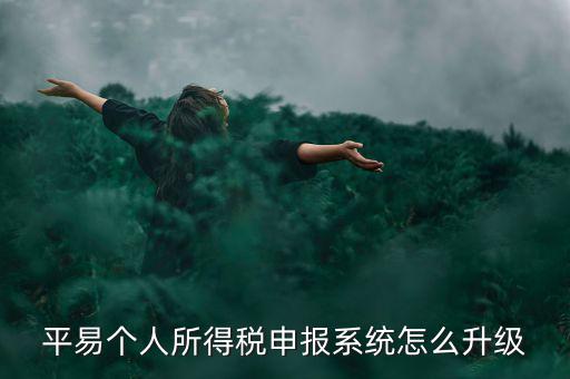個(gè)稅如何在線升級(jí)，個(gè)稅系統(tǒng)的版本號(hào)V12146如何升級(jí)V12159