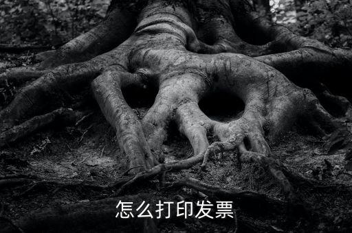 億企贏攜稅寶發(fā)票如何打印，這樣怎么打印電子發(fā)票