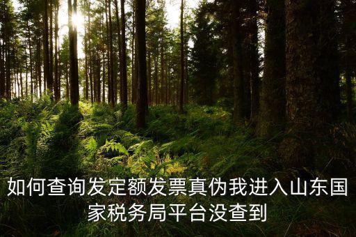 公交卡定額發(fā)票如何查詢真?zhèn)?，如何查詢發(fā)定額發(fā)票真?zhèn)挝疫M入山東國家稅務局平臺沒查到