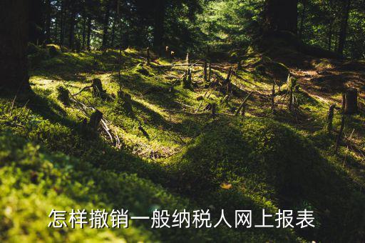 怎樣撤銷(xiāo)一般納稅人網(wǎng)上報(bào)表