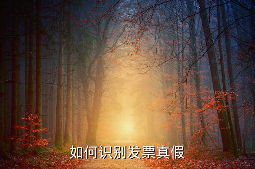 深圳國稅局發(fā)票如何查詢真?zhèn)尾樵?，如何在認(rèn)證前查驗發(fā)票真?zhèn)?/></a></span><span id=
