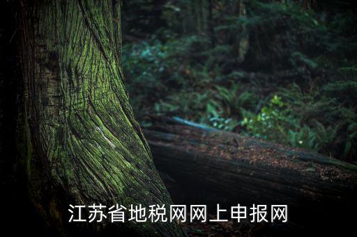 江蘇如何網(wǎng)上報(bào)稅，現(xiàn)在江蘇能不能進(jìn)行網(wǎng)上抄報(bào)稅