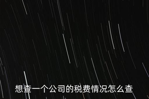 如何查詢公司納稅記錄查詢，想查一個(gè)公司的稅費(fèi)情況怎么查
