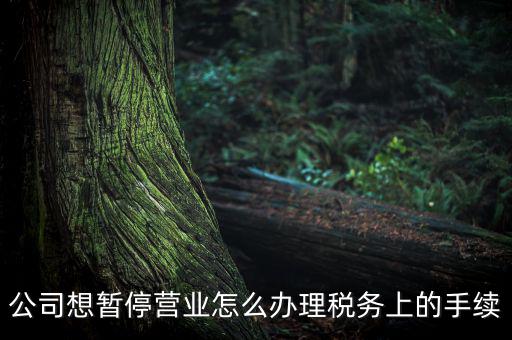 北京市如何辦理單位稅務(wù)暫停，企業(yè)暫停營業(yè)怎么辦理
