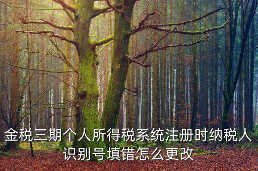 金稅三期個(gè)人所得稅系統(tǒng)注冊時(shí)納稅人識別號填錯(cuò)怎么更改