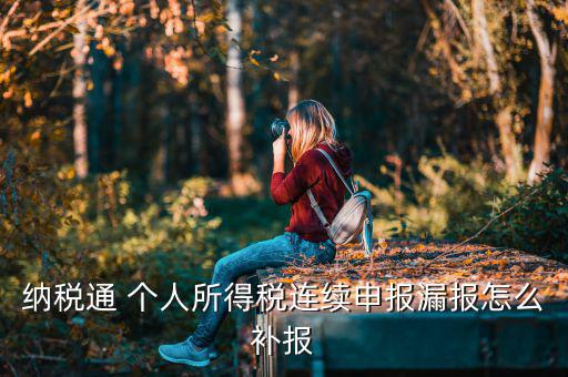 源泉扣繳如何補申報，個人所得稅代扣代繳系統(tǒng) 補申報怎樣操作