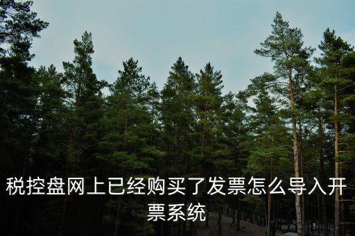 如何網(wǎng)上開票系統(tǒng)，稅控盤網(wǎng)上已經(jīng)購買了發(fā)票怎么導(dǎo)入開票系統(tǒng)