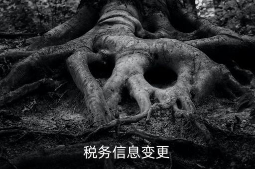 地稅如何變更人員信息查詢，浙江地稅開票軟件開票人怎么更改