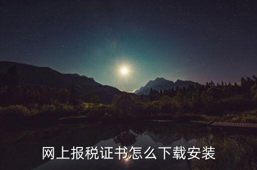 如何下載電子稅務印章，網(wǎng)上報稅證書怎么下載安裝