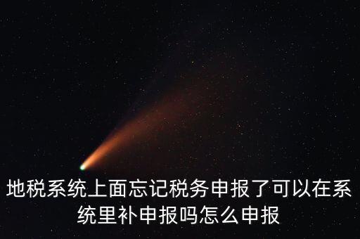 地稅如何補充申報表，地稅系統(tǒng)上面忘記稅務(wù)申報了可以在系統(tǒng)里補申報嗎怎么申報