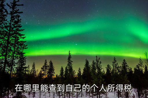 稅務(wù)如何查個稅，個稅怎么查