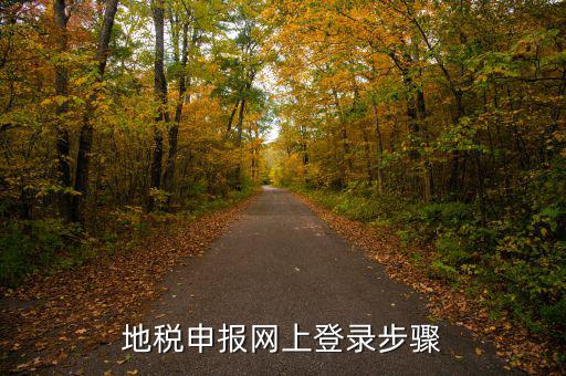 廣西國稅地稅如何網(wǎng)上申報，稅務(wù)申報如何網(wǎng)上申報