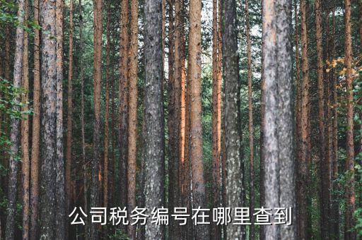 如何查遼寧省國稅局納稅識(shí)別號(hào)，跪求 在哪點(diǎn)能查詢到納稅人識(shí)別號(hào)