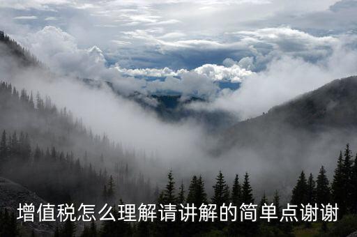 納稅人如何認識增值，增值稅的理解