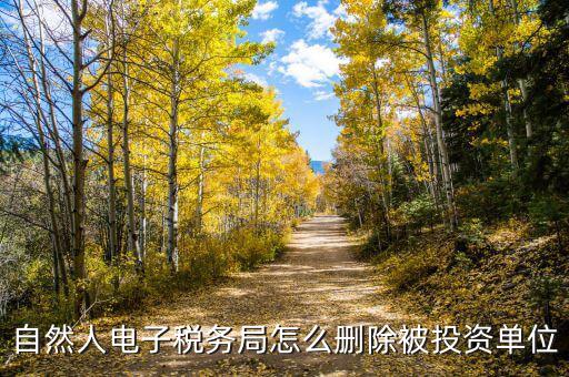 電子稅務局如何刪除不管的企業(yè)，電子稅務局網(wǎng)頁怎么清除企業(yè)稅號記錄