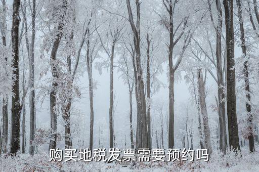 購(gòu)買(mǎi)地稅發(fā)票需要預(yù)約嗎