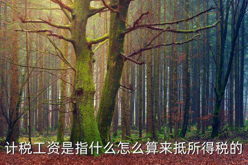 工資如何抵扣所得稅，企業(yè)所得稅工資抵扣的一些訣竅