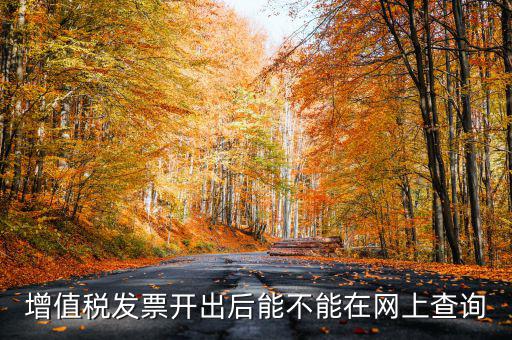 如何查詢發(fā)票完稅，稅控軟件上已經(jīng)開的發(fā)票怎么查詢