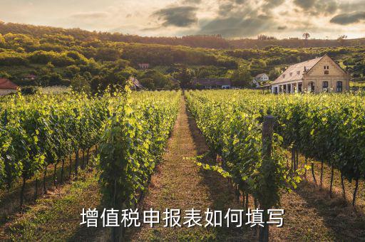 增值稅納稅申報表如何填列，增值稅申報表如何填寫