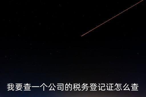 如何查企業(yè)的稅收記錄，想查一個公司的稅費情況怎么查