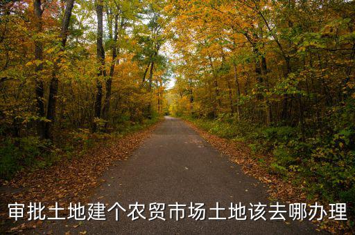 農(nóng)貿(mào)市場土地如何取得，審批土地建個農(nóng)貿(mào)市場土地該去哪辦理