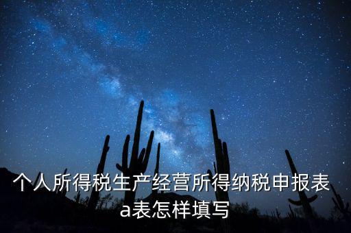 個(gè)人經(jīng)營(yíng)所得申報(bào)表a表如何填，個(gè)人所得稅經(jīng)營(yíng)所得稅申報(bào)表a表怎么填