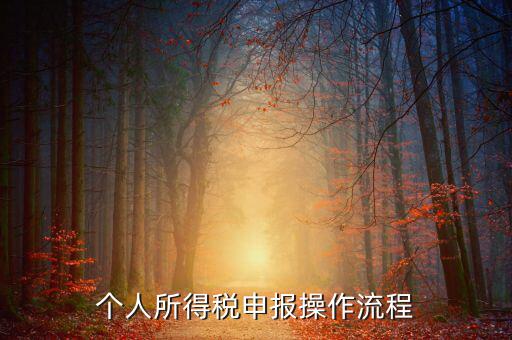 自然人所得稅如何安裝，個人所得稅如何進(jìn)行申報和核算
