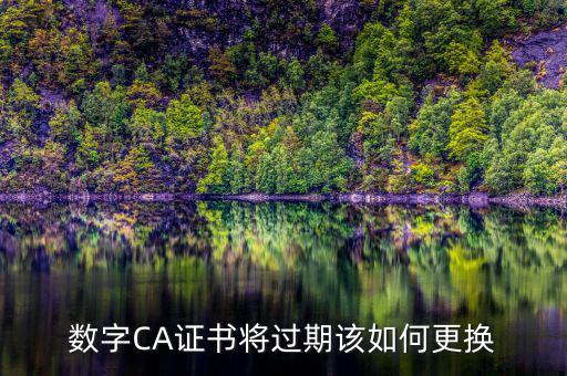 數字CA證書將過期該如何更換