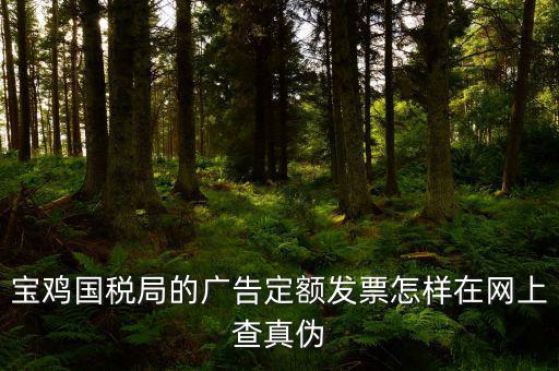 國(guó)稅定額發(fā)票如何查驗(yàn)，國(guó)稅的定額發(fā)票怎么辨別真假制作的跟假的似的