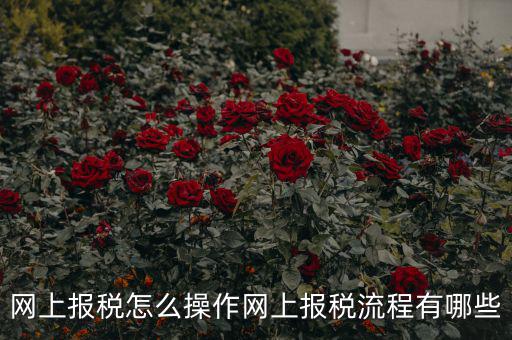 江蘇省網(wǎng)上稅務(wù)局如何報稅，網(wǎng)上報稅怎么操作網(wǎng)上報稅流程有哪些