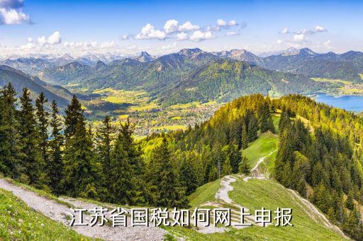江蘇網(wǎng)上稅務(wù)局如何申報(bào)，江蘇地稅網(wǎng)上申報(bào)