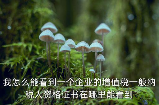 增值稅一般納稅人資格如何查詢，重慶國稅網(wǎng)如何查詢企業(yè)是否一般納稅人