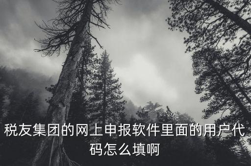 稅友軟件如何申報(bào)，稅友通是如何報(bào)稅的