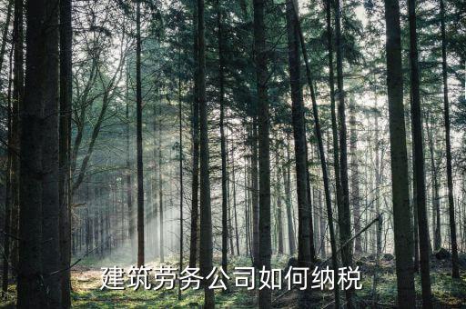 建筑勞務如何征稅，建筑勞務公司如何納稅