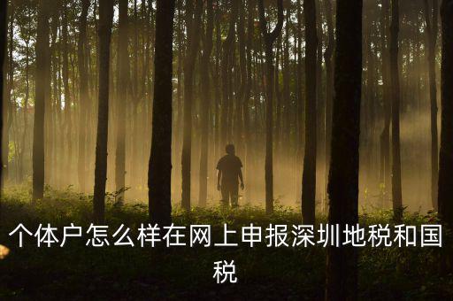 個(gè)體戶怎么樣在網(wǎng)上申報(bào)深圳地稅和國稅