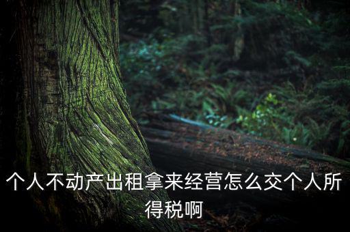 個人出租不動產(chǎn)如何納稅，個人房產(chǎn)出租應如何納稅 住宅可按5稅率征收