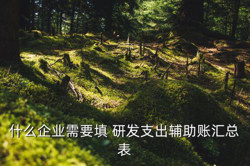 研發(fā)支出 輔助賬匯總表如何填寫，什么企業(yè)需要填 研發(fā)支出輔助賬匯總表
