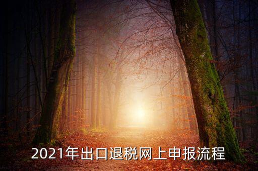 如何登錄出口退稅網(wǎng)，出口退稅申報(bào)流程操作