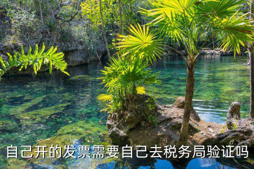 如何去稅務(wù)局驗(yàn)證發(fā)票嗎，發(fā)票怎么去稅務(wù)局驗(yàn)證需要什么資料