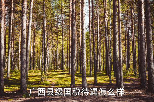 廣西縣級國稅待遇如何，廣西河池市下面各縣國家稅務(wù)局待遇如何
