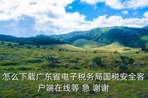 廣州電子稅務(wù)局如何登陸，怎么下載廣東省電子稅務(wù)局國稅安全客戶端在線等 急 謝謝