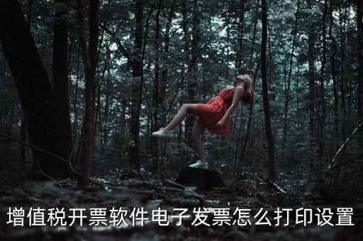 電子發(fā)票如何設置，acdsee5怎樣修改電子發(fā)票