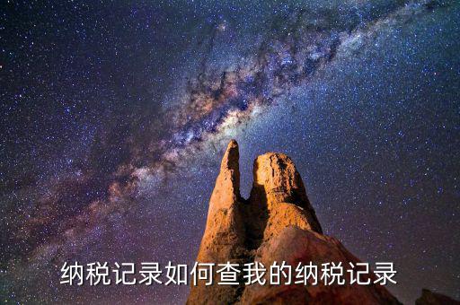 如何查詢納稅情況，要去哪里查自己的個稅繳納情況