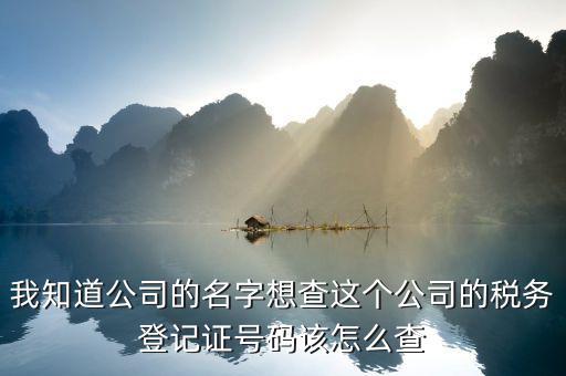 山東 如何查企業(yè)稅務信息查詢，我知道公司的名字想查這個公司的稅務登記證號碼該怎么查