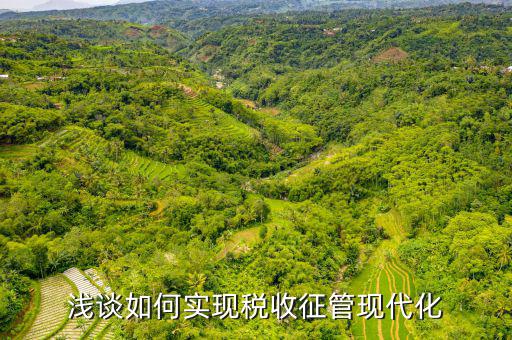 談談如何推進新時代稅收現(xiàn)代化，淺談如何實現(xiàn)稅收征管現(xiàn)代化
