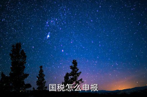 北京國稅如何登陸申報，國稅如何網(wǎng)上零申報 具體步驟有五個