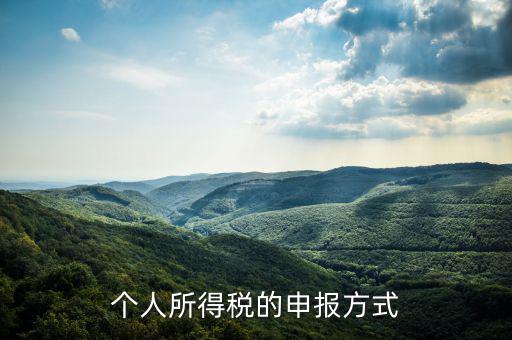 如何申請個人所得稅，個稅怎么申報(bào)