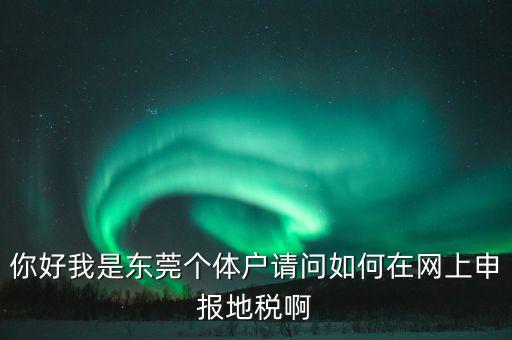 東莞?jìng)€(gè)稅如何申報(bào)，你好我是東莞?jìng)€(gè)體戶請(qǐng)問如何在網(wǎng)上申報(bào)地稅啊